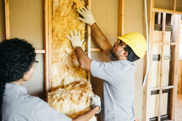 Best Eco-Friendly or Green Insulation Solutions  in Logan, IA